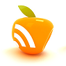 RSS Icon